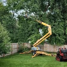 Best Tree Preservation Services  in South Bradenton, FL